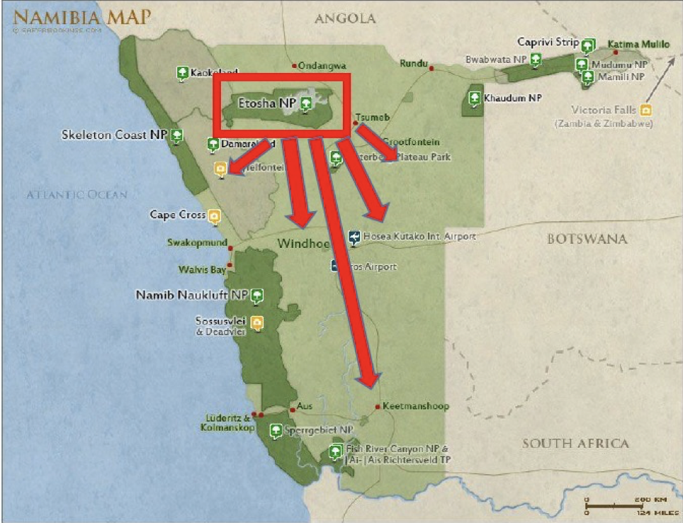 Black rhino habitat use, home ranges, and spatial distribution in the